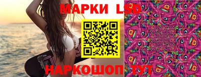 PSILOCYBIN Заволжье