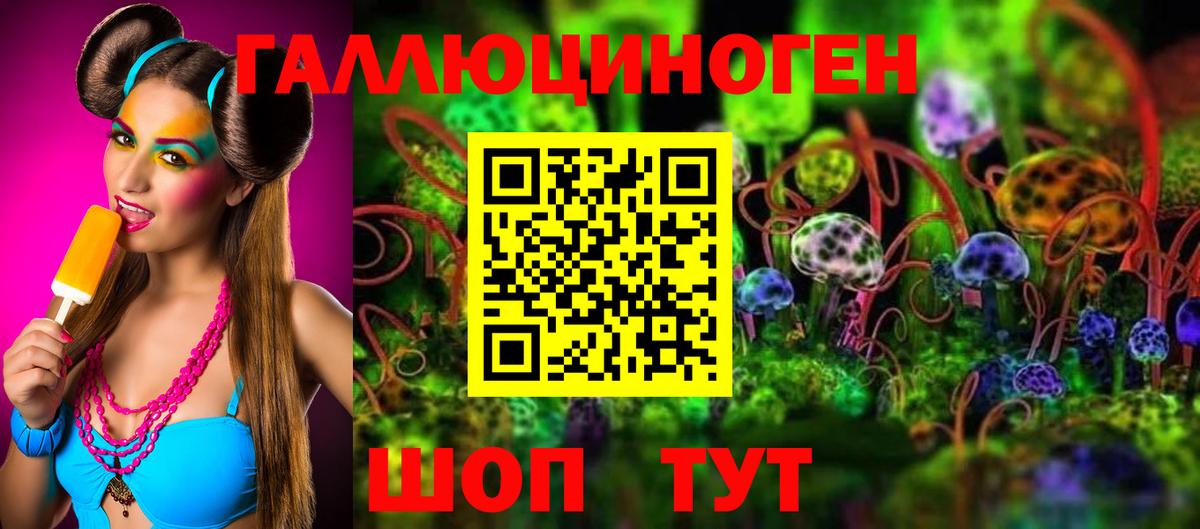 Малгобек  Псилоцибиновые грибы Magic Shrooms  Вход с VPN 